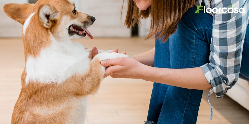 Revealed: The Best Floors for Pets| FLOORMAKER Revealed: The Best Floors for Pets| FLOORMAKER