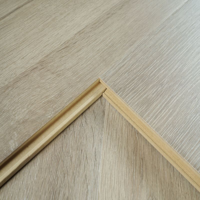 Дубовый ламинат 10 мм